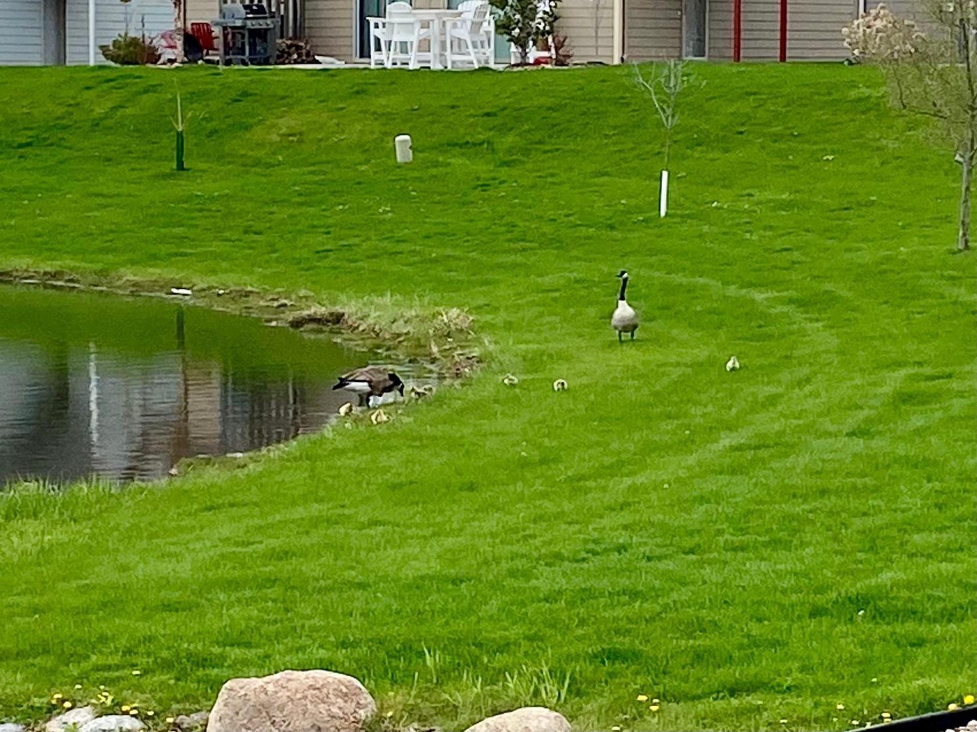Boho Bungalow On The Pond W/ Hot Tub Arnolds Park Esterno foto